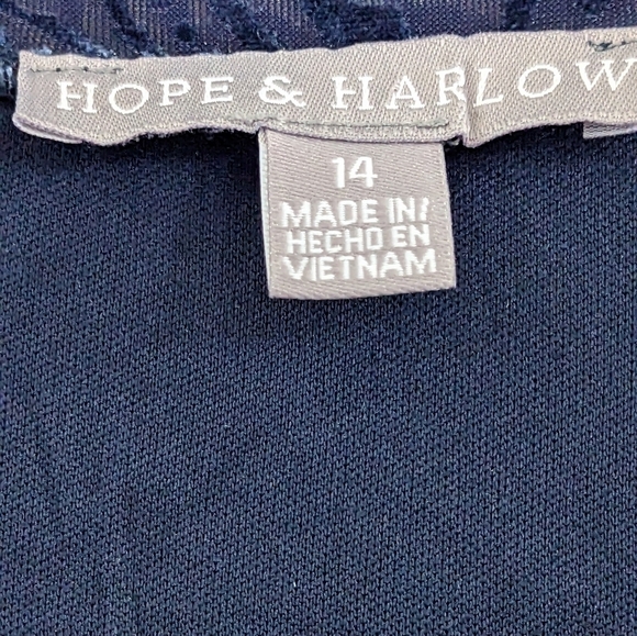 Hope & Harlow Midnight Blue Velvet Scoop Neck Flare Dress Size 14 EUC - Picture 3 of 5